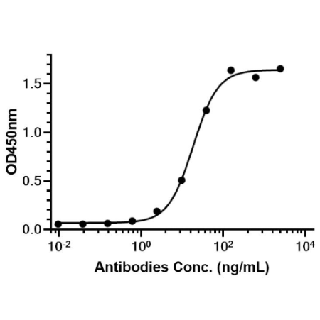 Anti-RANKL Antibody (Denosumab)