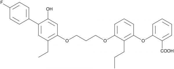 LY293111