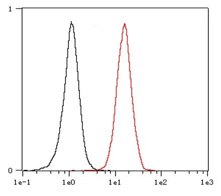 Anti-CD79a, clone SQab1743