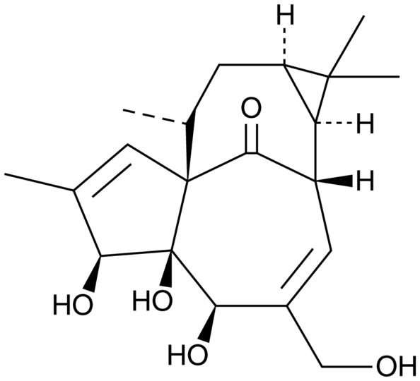 Ingenol