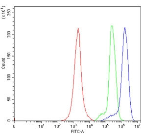 Anti-CD226 / DNAM-1