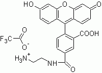 5-FAM ethylenediamine