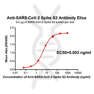 Anti-SARS-CoV-2 Spike antibody(DM39), Rabbit mAb