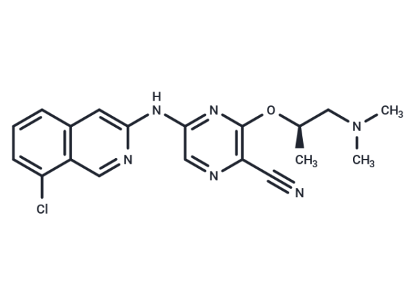 SAR-020106