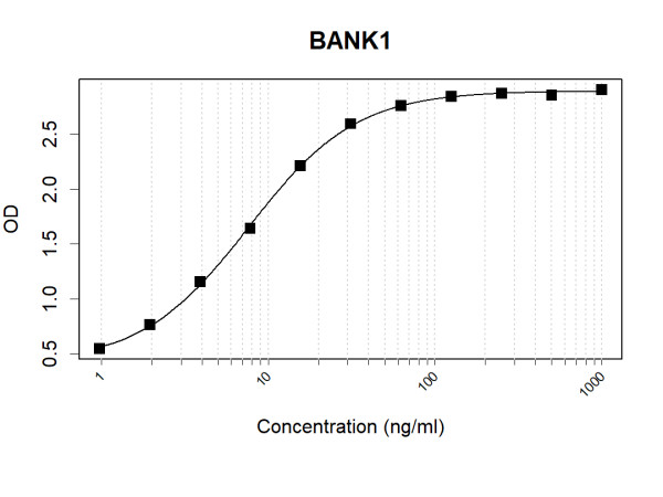 Anti-Human BANK1 Antibody Pair