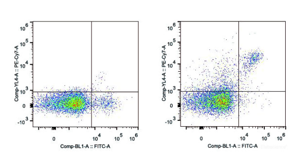 Anti-Mouse CD161/NK1.1 (PE/Cyanine7 Conjugated)[PK136], clone PK136