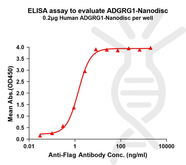 ADGRG1 (human) full length protein-synthetic nanodisc