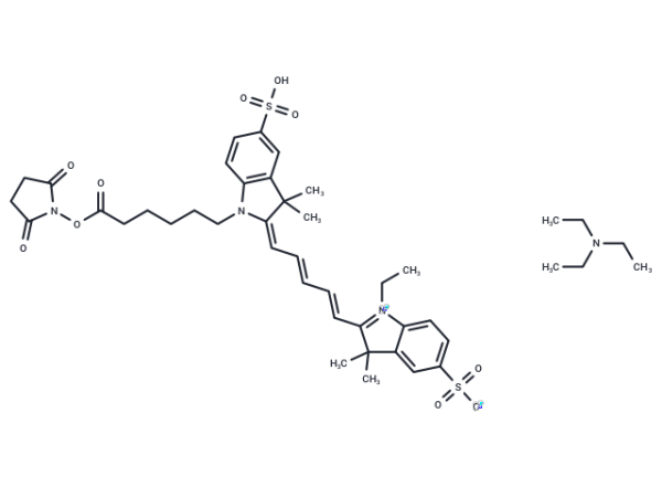 CY5-SE triethylamine salt