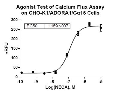 CHO-K1/ADORA1/Galpha15 Stable Cell Line