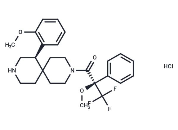 BAY 593