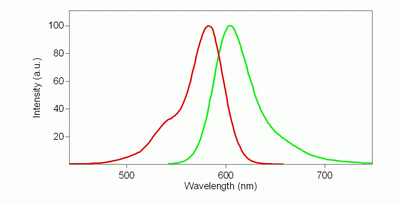 iFluor(TM) 594 goat anti-rabbit IgG (H+L)