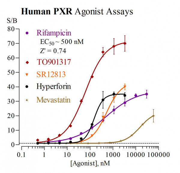 PXR (human) Reporter Assay Kit