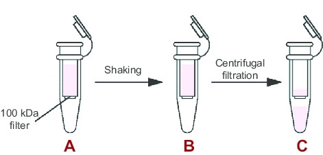 ReadiUse(TM) 10KD Spin Columns