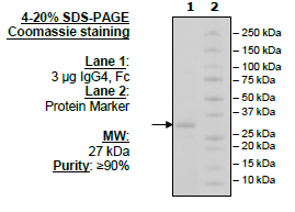 IgG4, Fc (Human) HiP(TM)