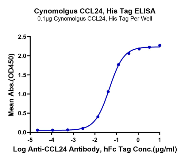 Cynomolgus CCL24 Protein
