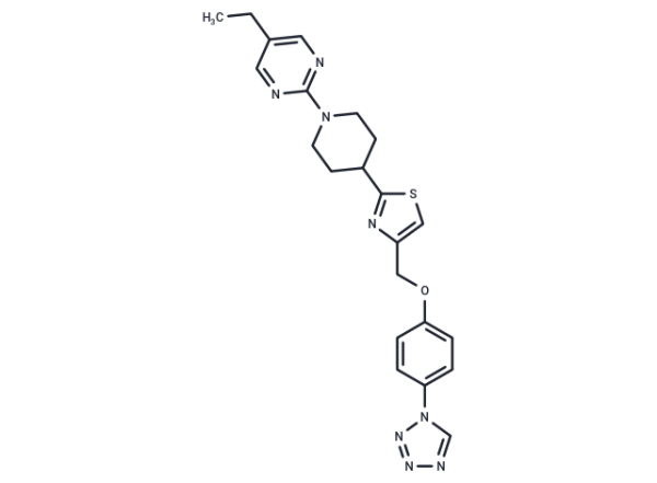 MBX-2982