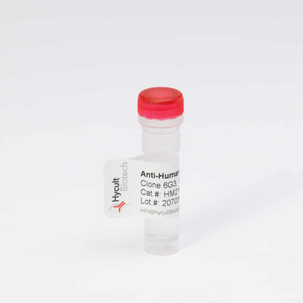Anti-JAM-C, Mouse, mAb 19H36