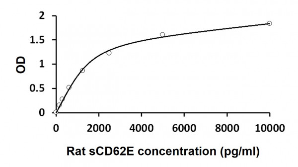 Rat sCD62E / sE-Selectin ELISA Kit