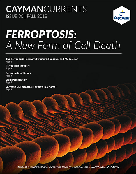 Cayman Currents: Ferroptosis: A New Form of Cell Death