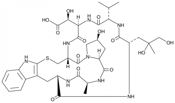 Phallacidin