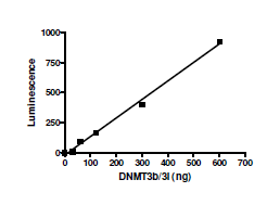 DNMT3B/DNMT3L Complex, His-tag, GST-tag