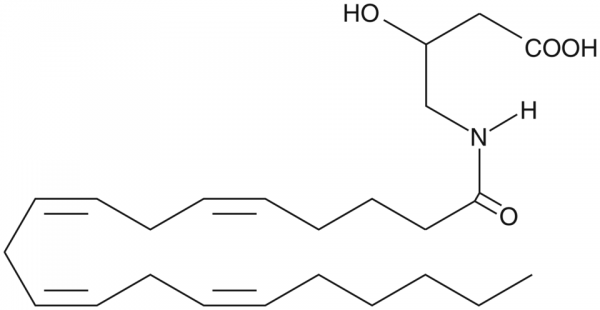 N-Arachidonoyl-3-hydroxy-gamma-Aminobutyric Acid