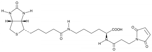3-(N-Maleimidopropionyl)-biocytin