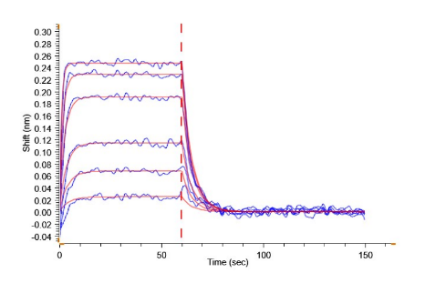 B7-H6/NCR3LG1 hFc Chimera, Human