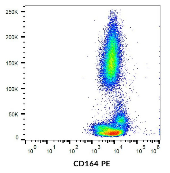 Anti-CD164 (PE), clone 67D2