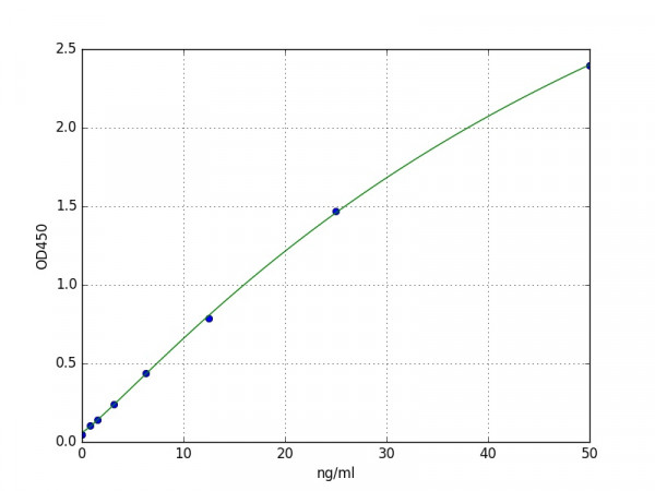 Human Wnt-5b ELISA Kit