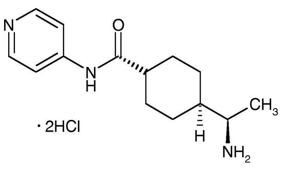 Y-27632, Dihydrochloride Salt (Y27, CAS 129830-38-2), &gt;99%