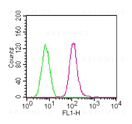 Anti-TLR7 (Clone: ABM2C27) FITC Conjugated