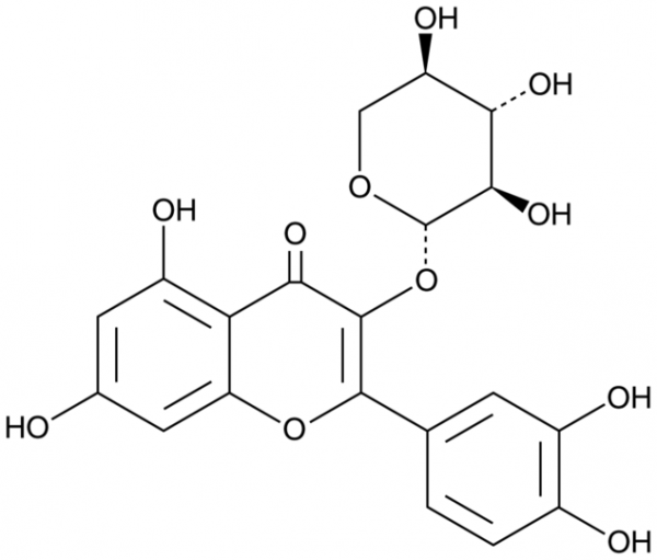 Quercetin 3-O-beta-D-xylopyranoside