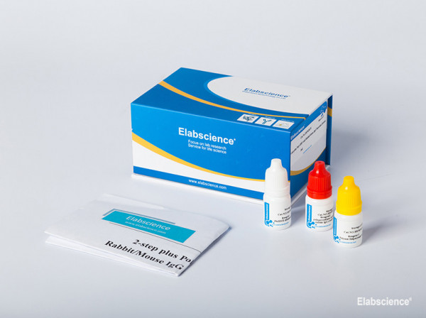 2-step plus Poly-HRP Anti Rabbit/Mouse IgG Detection System