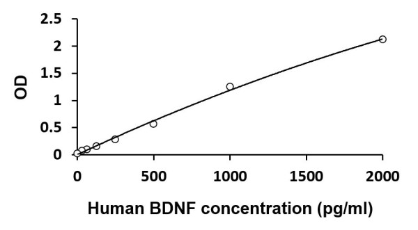 Human BDNF ELISA Kit