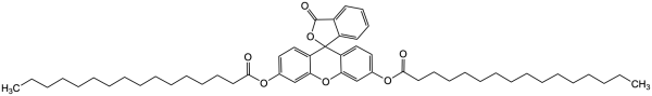 Fluorescein dipalmitate