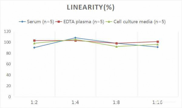 Rat ET-1 (Endothelin 1) CLIA Kit