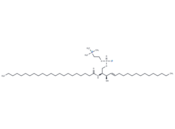 C22 Sphingomyelin (d18:1/22:0)