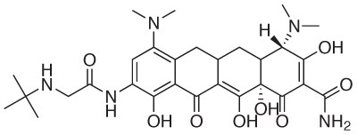 Tigecycline