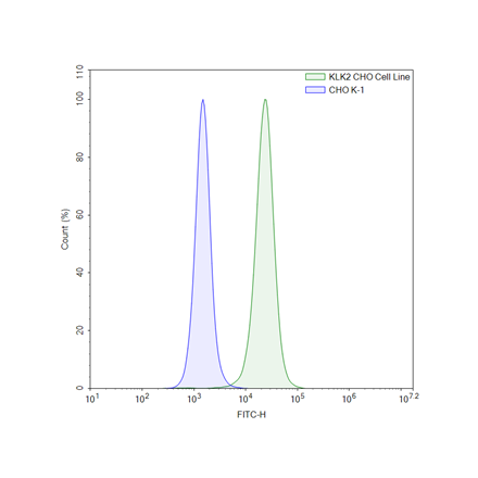 FluoSite Anti-KLK2 Antibody, FITC-Labeled