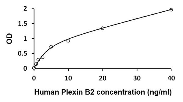 Human Plexin B2 ELISA Kit