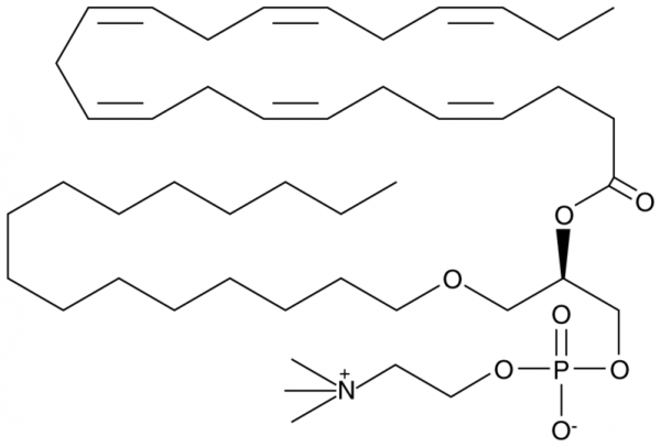 1-O-hexadecyl-2-Docosahexaenoyl-sn-glycero-3-PC