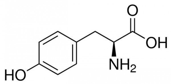 L-Tyrosine (non-animal)