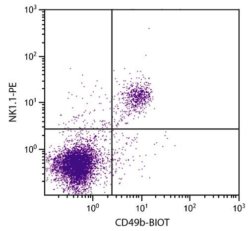 Anti-CD49b (Biotin), clone DX5