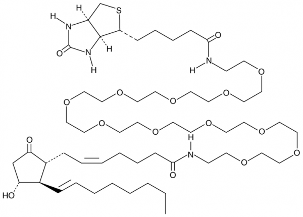 Prostaglandin E2-PEG11-biotin