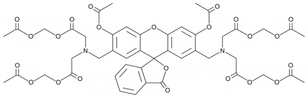 Calcein AM