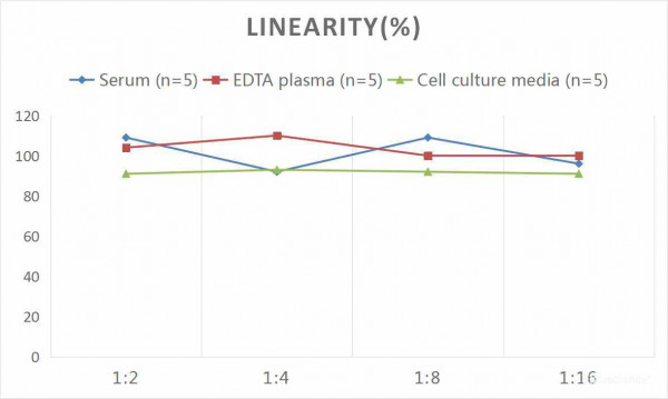 Mouse NGAL (Neutrophil Gelatinase Associated Lipocalin) CLIA Kit