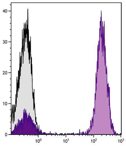 Anti-Mouse IgG (H+L) (APC), pre-adsorbed [Goat]
