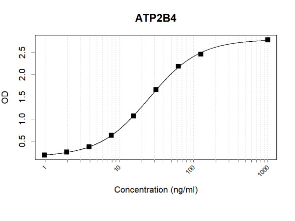 Anti-Human ATP2B4 Antibody Pair