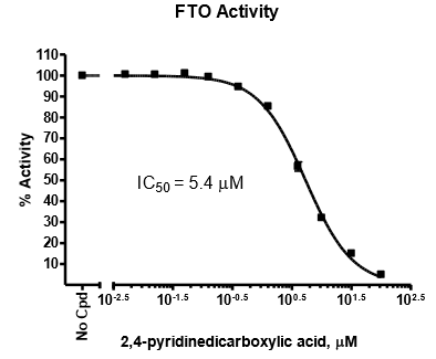 FTO Chemiluminescent Assay Kit